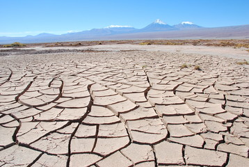 Cracked Mud in Atacama Desert