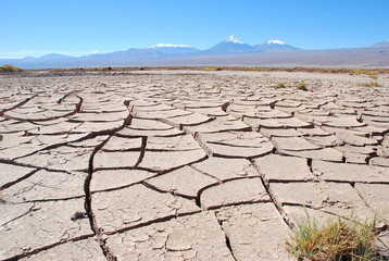 Fototapeta premium Cracked Mud in Atacama Desert