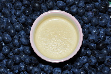 Panakota & blueberries