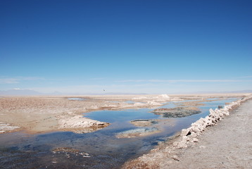Atacama Salt Flats
