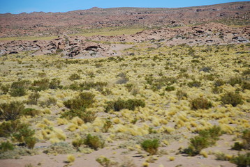 Atacama Desert Chile