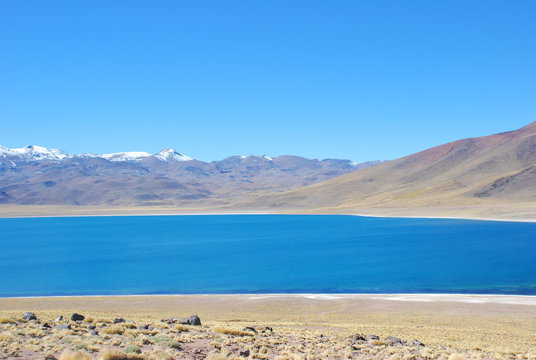 Laguanas, Atacama Desert, Chile