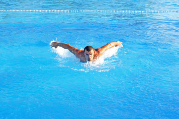 Swimmer
