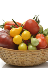 Tomatoes
