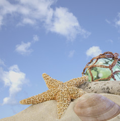 seashells on sand with glass ball with blue sky