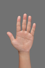 Open hand showing all five fingers