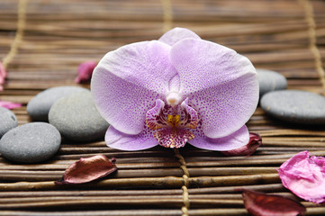 Obraz na płótnie Canvas Piękna orchidea z suszonych płatków kwiatów i kamienie na macie