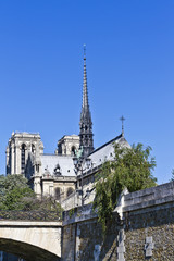 Fototapeta na wymiar Cathedral Notre Dame de Paris, France. View from River Seine.