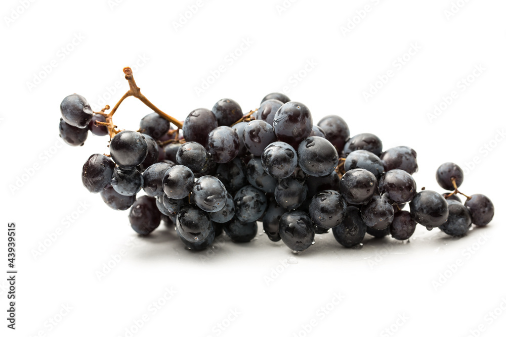 Wall mural twig of black grape on white