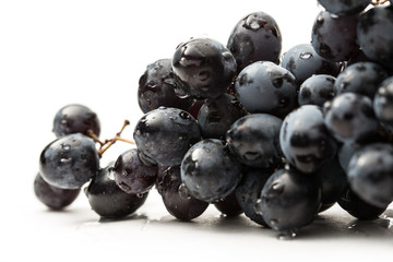 Twig of black grape on white