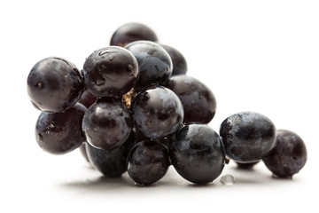Twig of black grape on white