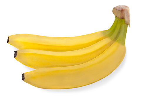 bunch of three bananas isolated on white background