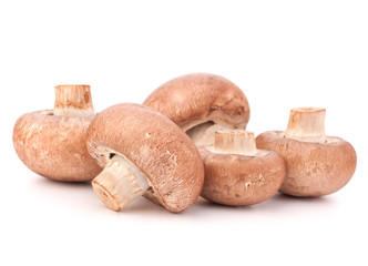 Brown champignon mushroom group