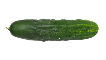Cucumber