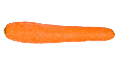 Carrot