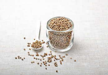 Dried coriander seeds, also called cilantro, in a glass on canvas with white plastic spoon.