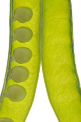 Petits pois dans leur gousse