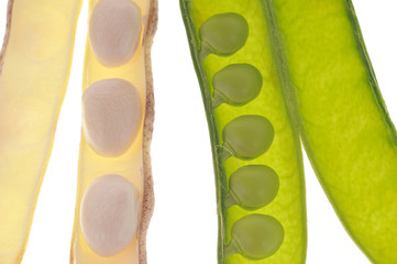 Cosses de petits pois et de haricots ouvertes