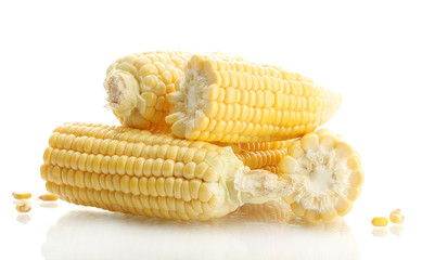 fresh corn, isolated on white