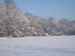 Winter landscepe