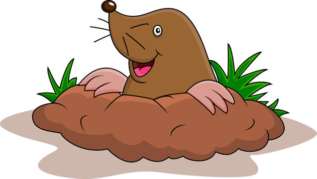 Happy mole cartoon