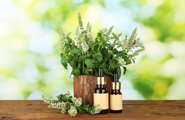 Essential oil and mint on green background close-up