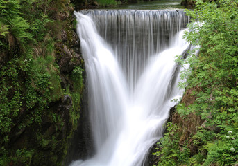 Cascade du saut de l'Ognon (70)