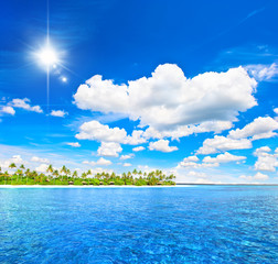 tropical beach with palm trees and sunny blue sky