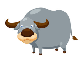 Buffalo vector