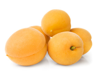Apricots on white