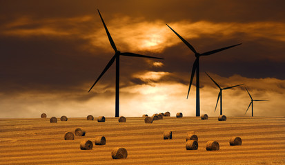 Windräder über Getreidefeld