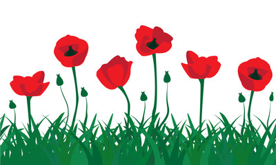 Obraz premium seamless pattern of red poppies