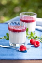 Raspberry cream dessert on garden table