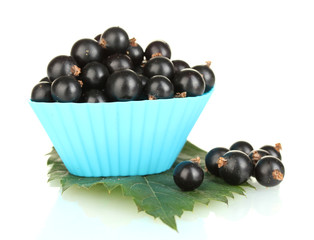 Fresh black currant in silicone mold isolated on white