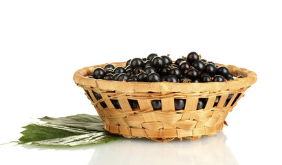 Fresh black currant in wicker basket isolated on white