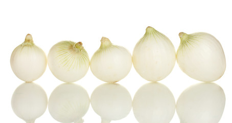 white onion isolated on white background