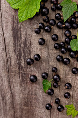 Fresh black currant, upper view