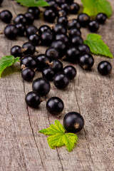 Fresh black currant