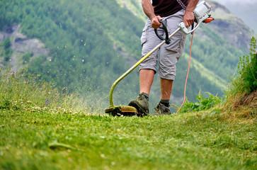 taille d'herbe,débroussaillage,jardinage © ursule