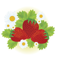 Strawberries and daisy flowers