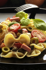 Pasta fredda Ensalada de pasta 通心粉沙拉 Pasta salad