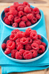 Two saucers full of freshly picked organic raspberries