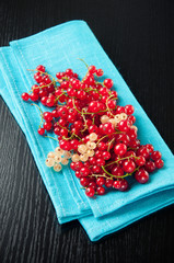 Red currant on a turquoise serviette, studio shot