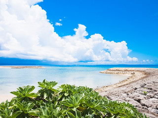 沖縄の海