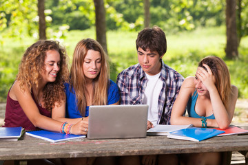 Group of Teenage Students at Park with Computer and Books