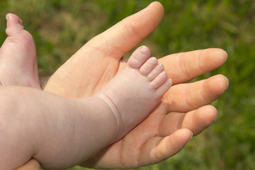 Babyfuß in Hand von Papa - 43962590