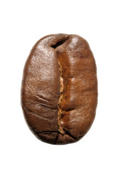 close-up of a single coffee bean (vertical position)