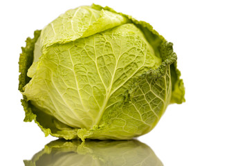 Fototapeta premium Cabbage