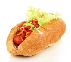Appetizing hot dog isolated on white