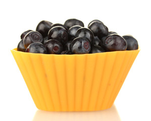 Fresh blueberries in colorful silicone mold isolated on white